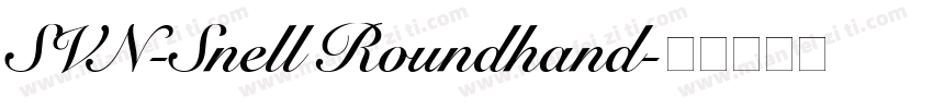 SVN-Snell Roundhand字体转换